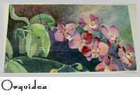 Click para agrandar